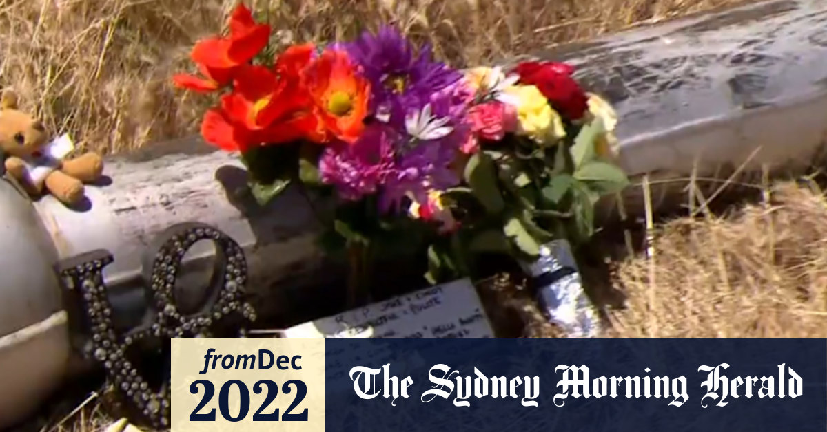 Video Girl saves brother's life after crash kills parents